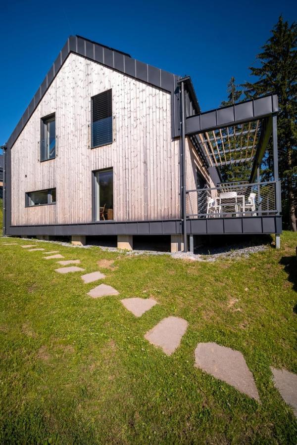 Apartman U Hajenky 429 Lipno nad Vltavou Kültér fotó