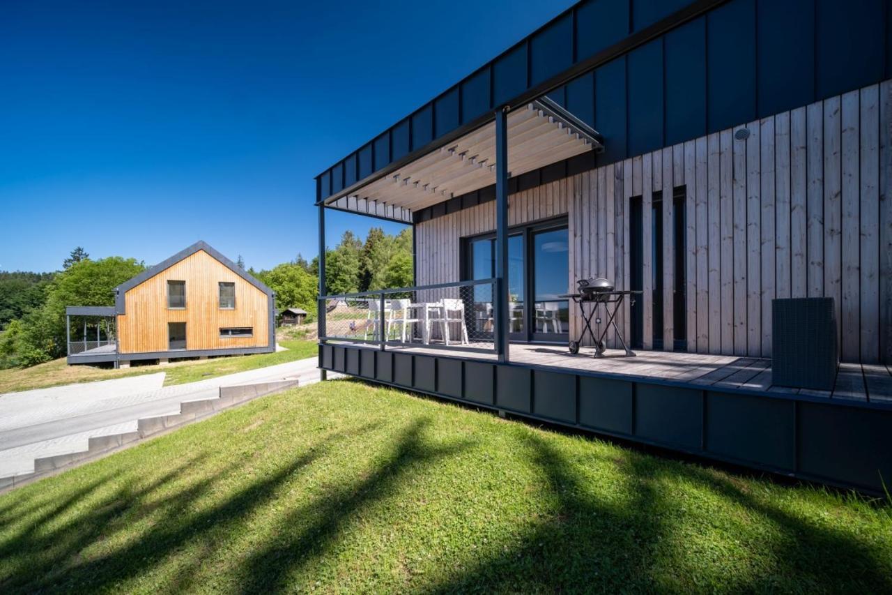 Apartman U Hajenky 429 Lipno nad Vltavou Kültér fotó